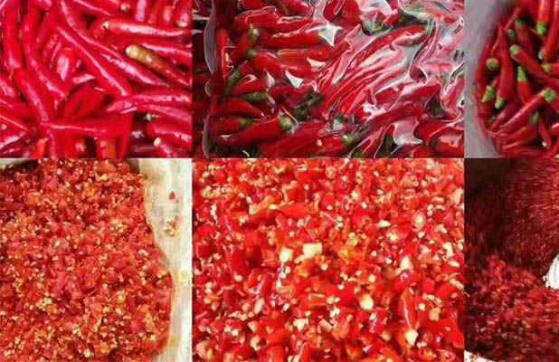 辣椒及辣椒初加工